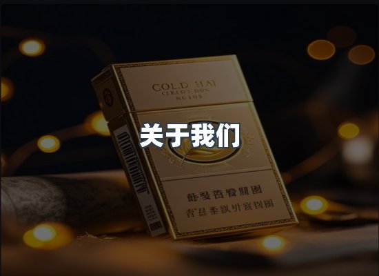 专业团队